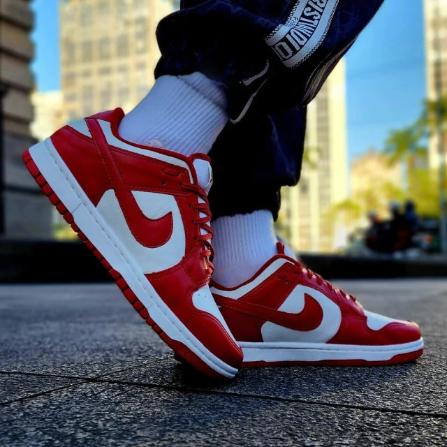 Tênis Nike Dunk SB - Branco e Vermelho